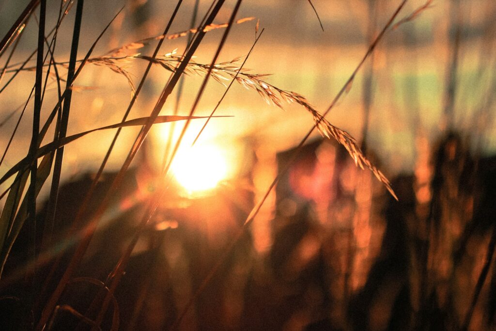 The Shadow’s Touch - By Ana Gonzalez - Share Your Poems - Publish Your Poetry Easily for Just $5
